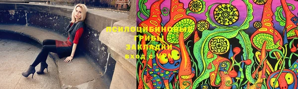 гидра Беломорск