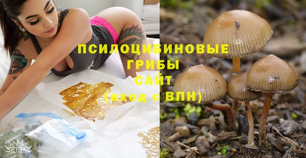 кокс Богданович